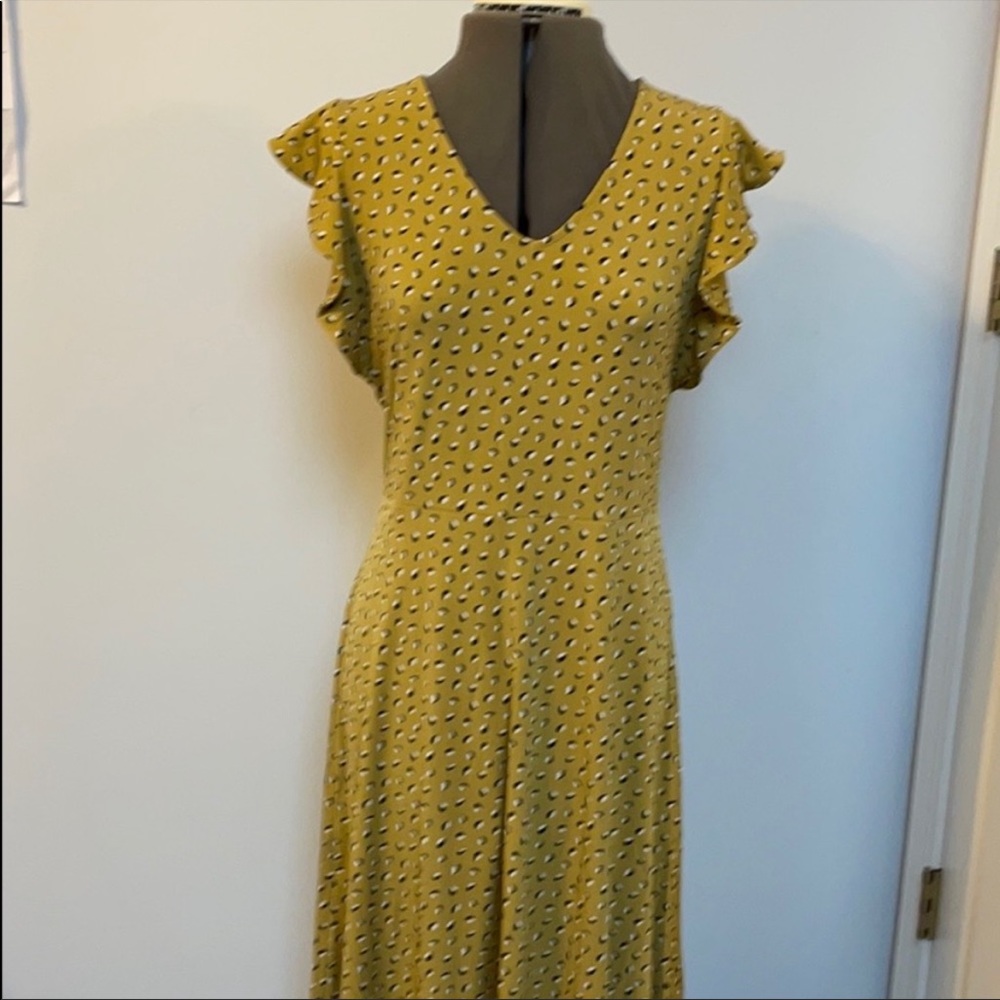 Ann Taylor Factory ruffle sleeve dress